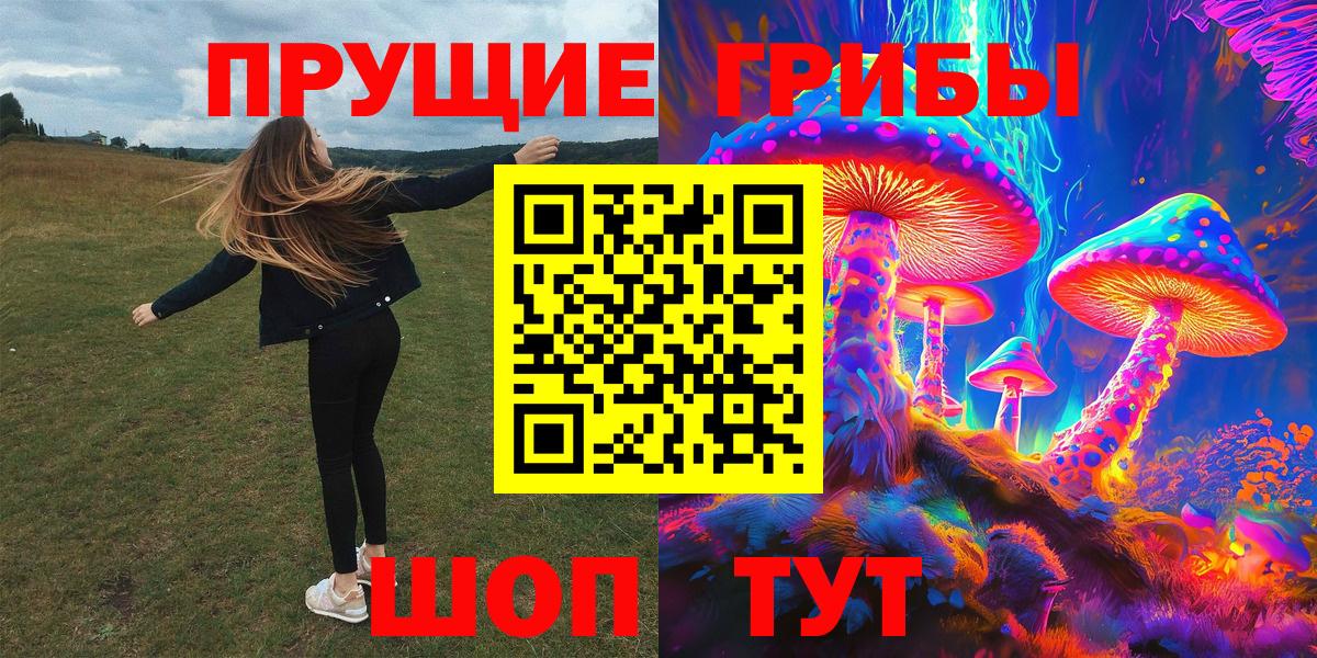 Псилоцибиновые грибы Psilocybe  Вход с VPN  Псилоцибиновые грибы мухоморы  как найти закладки  Можайск 