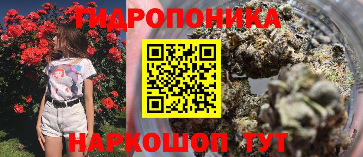 Бошки марихуана Bruce Banner  Бошки марихуана марихуана  МАРИХУАНА MAZAR  Вход с VPN  МАРИХУАНА марихуана  Можайск 